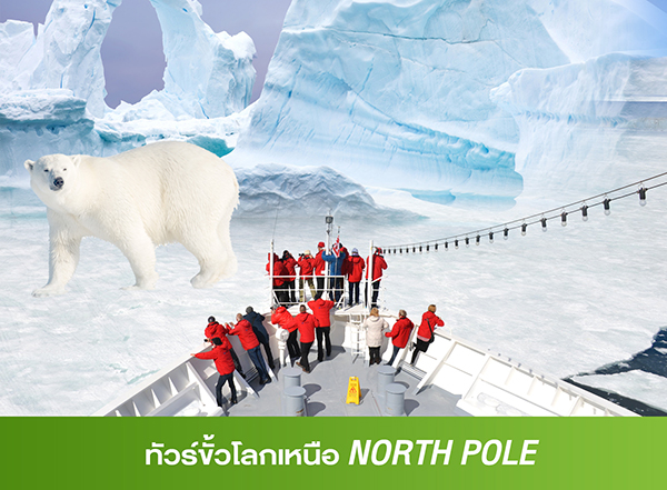 ทัวร์ขั้วโลกเหนือ North Pole